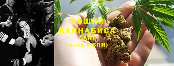 сатива Алексин