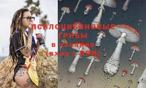 spice Алзамай