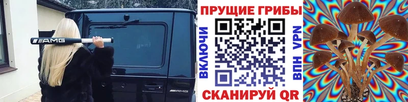 Галлюциногенные грибы мухоморы Бирюч